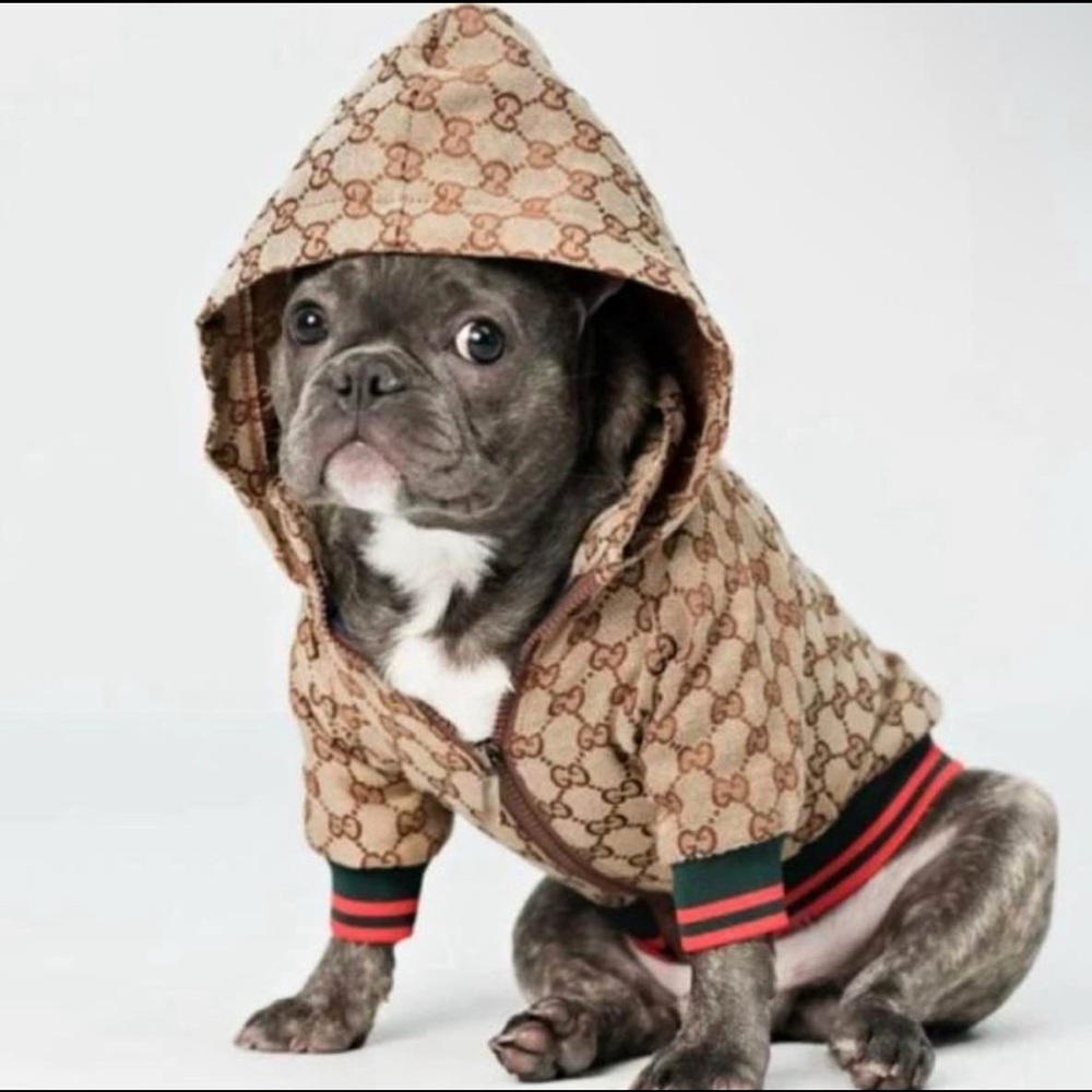 Gucci Tan Patterned Dog Hoodie